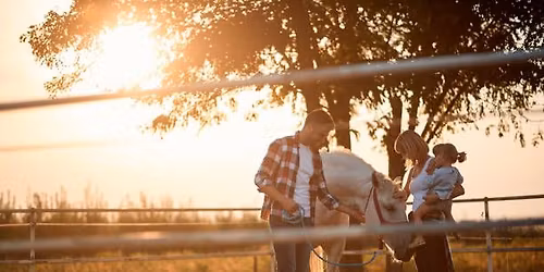 Family Fun Day with Horses