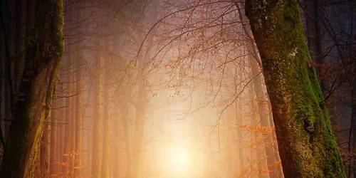 Sound Bath for Deep Relaxation