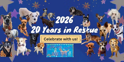 20 Years in Dog Rescue Anniversary Party