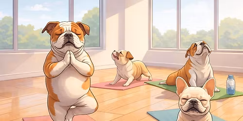 \ud83e\uddd8\u200d\u2640\ufe0f\ud83d\udc3e Yoga with Bulldogs \ud83d\udc3e\ud83e\uddd8\u200d\u2642\ufe0f