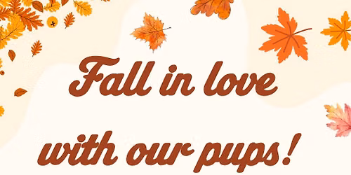 Mutts & Co. Neighborhood Pet Store Day