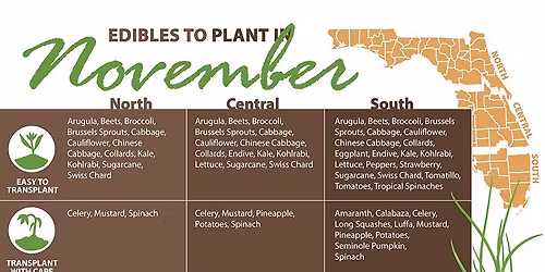 November plant exchange