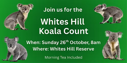Koala Count \u2013Sunday 26th October, Whites Hill Reserve