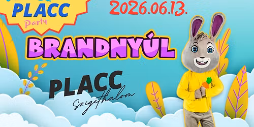 Csal\u00e1di PLACC Party \/\/ BRANDNY\u00daL