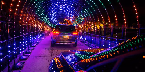 Wild Lights Drive Thru