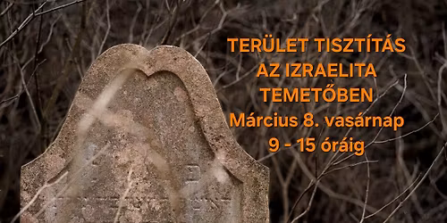 Temet\u0151 tiszt\u00edt\u00e1s