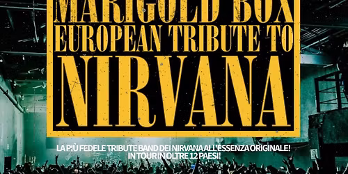 Marigold Box - Nirvana tribute band