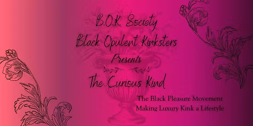 The Curious Kind: An EXPLORE Party