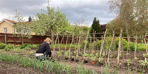 Workshop: Bygg v\u00e4xtst\u00f6d av hassel och bj\u00f6rk