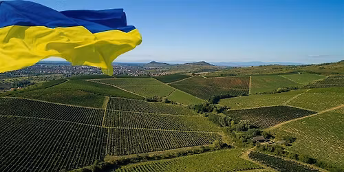 \ud83c\udf77\ud83c\uddfa\ud83c\udde6 Wines of Ukraine | Wine Tasting