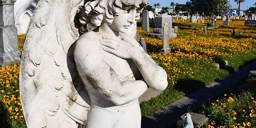 HISTORIC CEMETERY MORNING TOUR as seen on Texas Country Reporter