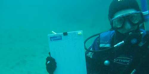 Seasearch Surveys 5th October 2026 (2103 + 37040)