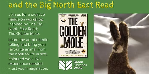 Green Libraries week: Needle Felted Animals Workshop (Darlington Library)