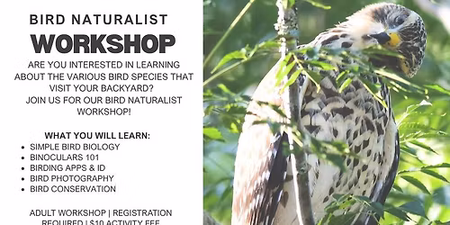 Bird Naturalist Workshop - Winter
