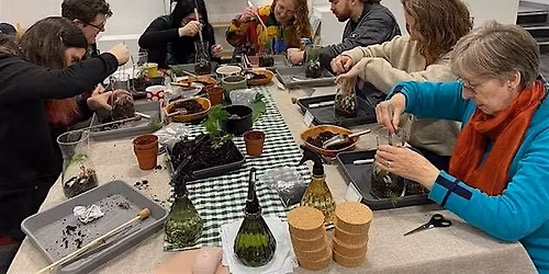 Terrarium Making Workshop