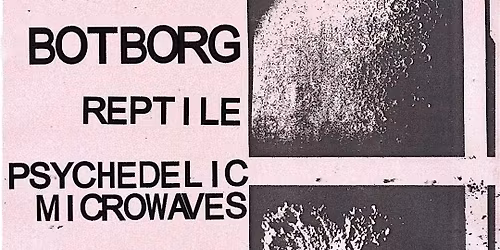 Botborg \/ Reptile \/ Psychedelic Microwaves - Live at the Cave Inn
