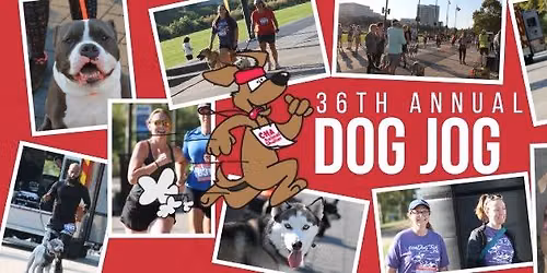 36th Annual Dog Jog