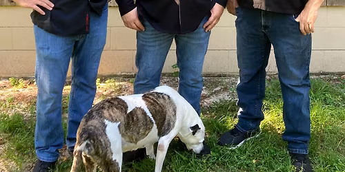 Friday, 1\/16 - Live Music by The Shane Gang Band at Double Bogey's Tavern & Grille - Heritage Harbor