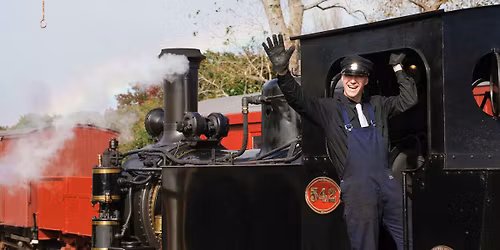 LIVE Day: Steam
