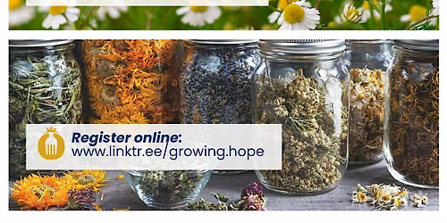 Herbal Medicine Workshop with Ryan McCarty