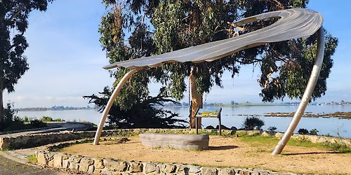 Martin Luther King Jr. Regional Shoreline Improvement Project at Oakport