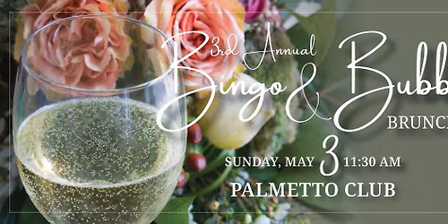 Bingo & Bubbly Brunch benefitting SAFE Shelter