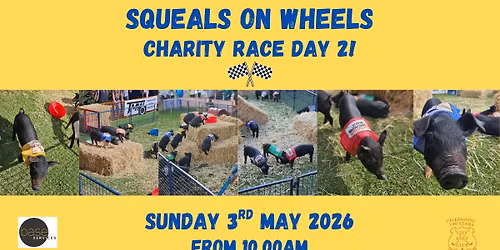 Squeals On Wheels Charity Race Day