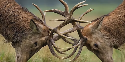 East Bay Calvary Sportsmen's Fellowship Dinner and Program