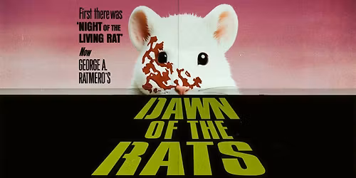 Hot Rats: Dawn of the Rats