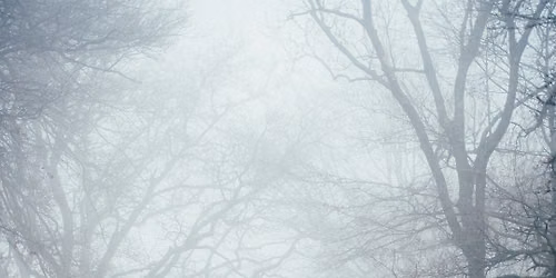 Pop Up + Party