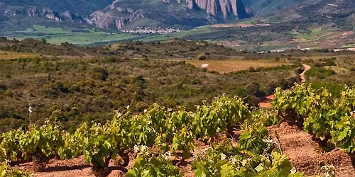 Alberto Orte: An Exclusive Spanish Wine Tasting Experience