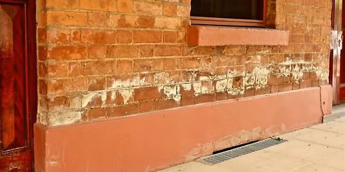 Salt Damp: Salt Attack and Rising Damp Workshop