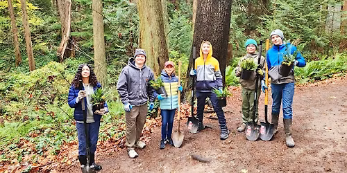 Kingsgate Park Forest Stewardship Event
