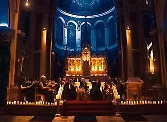 D-Entertainment presents D-Strings & special guests