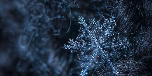 Christmas\/Winter Photoshoot