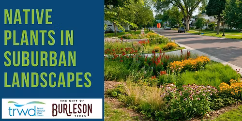 Native Plants in Suburban Landscapes