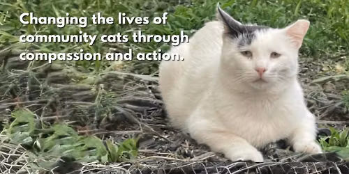 HamBINGO to Support Mad Cat Circle