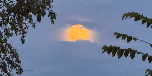 A little more light in the darkness w\/ The Shameful Comforts