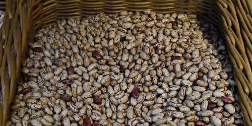 Classic Series: Heirloom Beans\u2014$75
