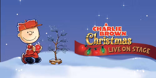 Parking A Charlie Brown Christmas - New Brunswick