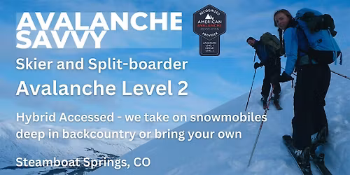 Avalanche Level 2: for Skiers and Split-boarders