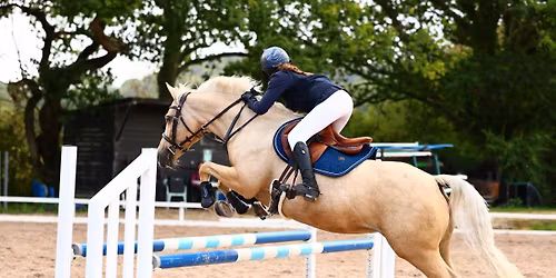 GWE Christmas Fun Show