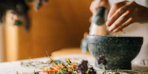 Afro Indigenous Herbalism: Poke Root
