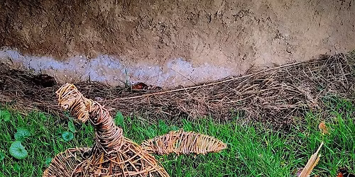 Create your own Willow Chicken!