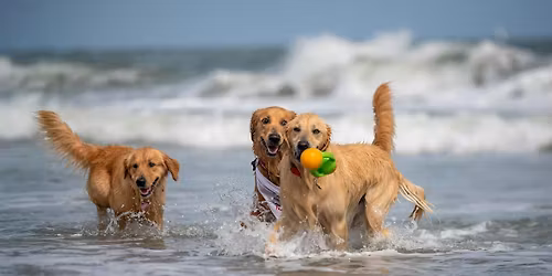 Jupiter Golden Jubilee: 8th Annual Celebration \u2013 Oct. 31 & Nov. 1, 2025