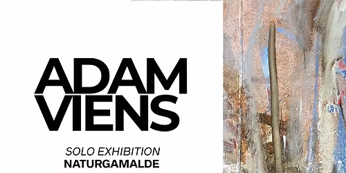 Adam Viens - Solo Exhibition | Naturgamalde 