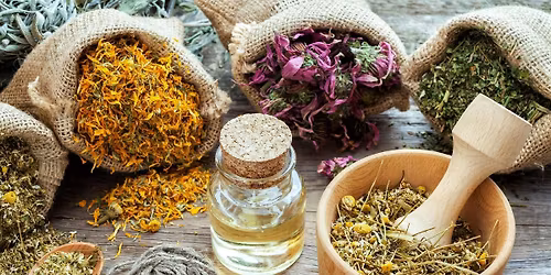 Hands-On Herbal Medicine Workshop