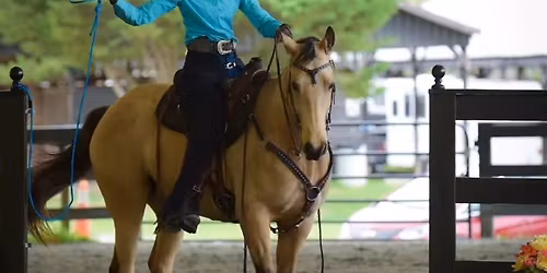 Balanced Riding and WE Clinic