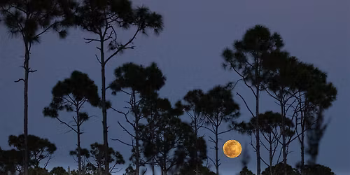 Members-Only: Night Hike