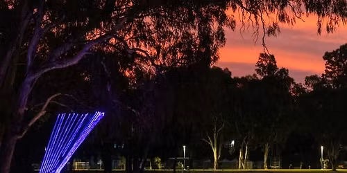 Trail of Lights - live music by Off The Chai